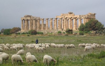 Active Conservation of Archeological Landscapes | Conferenza